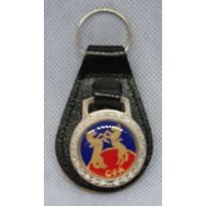 CFA Key Ring