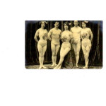 Fridge Magnet Artist Troupe