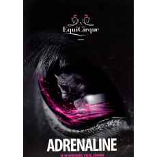 EquiCirque Adrenaline Programme